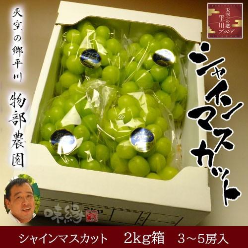 ⑧【専用】【島根県産】シャインマスカット約2キロ(3〜5房) 14【島根県産】シャインマスカット約2キロ(3〜5房)