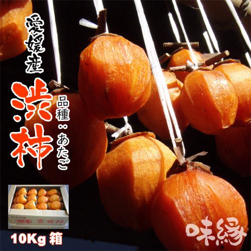 干し柿用 愛媛産 渋柿 10kg箱 愛宕柿 あたご柿 手作り 干柿用 テレビで