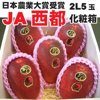 JA西都 宮崎　完熟マンゴー太陽のタマゴ2Lサイズ5玉｜ajien