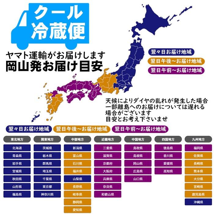 早期ご予約受付中 臼井桃園　岡山県産白桃　自宅用 3kg箱　生産者限定商品　訳あり品｜ajien｜09