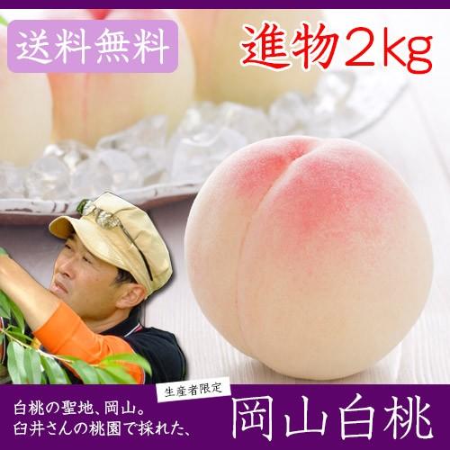 早期ご予約受付中 臼井桃園　岡山白桃　進物 2kg箱　岡山県産白桃　生産者限定商品　お中元最適品