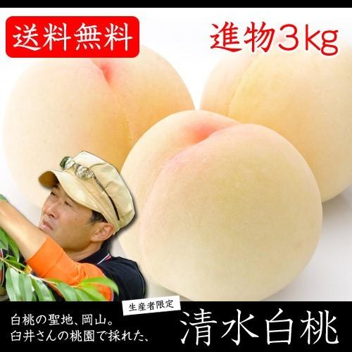 早期ご予約受付中 臼井桃園　清水白桃　進物  3kg箱　岡山県産白桃　生産者限定商品　