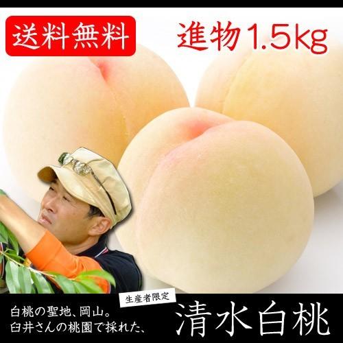 早期ご予約受付中 臼井桃園　清水白桃　進物 1.5kg箱　岡山県産白桃　生産者限定商品　