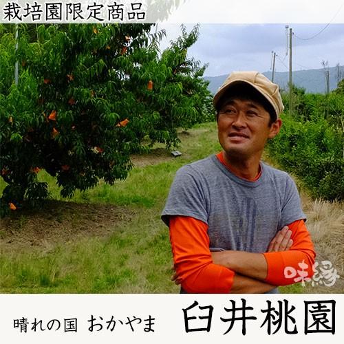 早期ご予約受付中 臼井桃園　清水白桃　進物 1.5kg箱　岡山県産白桃　生産者限定商品　_1