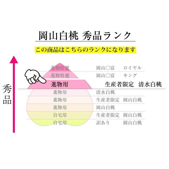 早期ご予約受付中 臼井桃園　清水白桃　進物 1.5kg箱　岡山県産白桃　生産者限定商品　_7