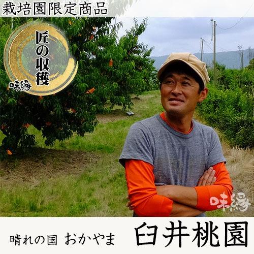早期ご予約受付中 臼井桃園　黄金桃　進物 4kg箱 希少品　岡山県産の桃　生産者限定品_1