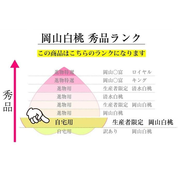 早期ご予約受付中 臼井桃園 黄金桃 自宅用 4kg箱 希少品 岡山県産の桃
