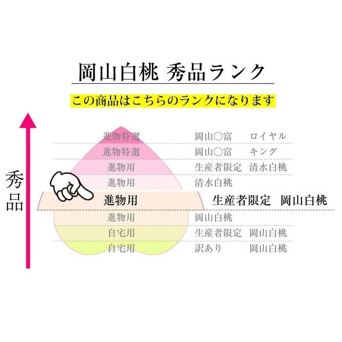 父の日 桃 岡山白桃 はなよめ桃 贈答 用 1.5kg箱 6〜8玉 岡山県産 6月