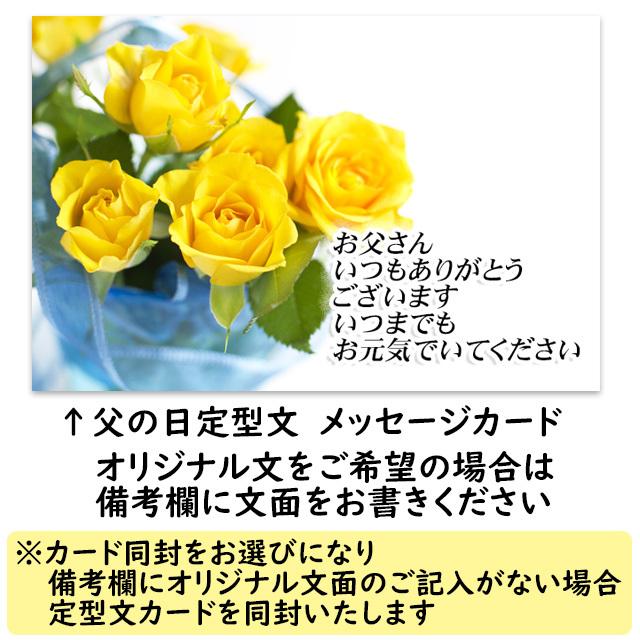 父の日 桃 岡山白桃 はなよめ桃 贈答 用 1.5kg箱 6〜8玉 岡山県産 6月