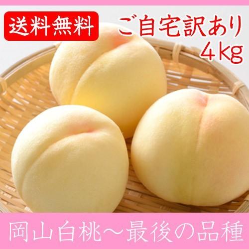 早期ご予約受付中 岡山白桃 最後の品種 自宅用 4kg箱 岡山県産白桃　生産者限定商品　訳あり品　8月下旬収穫品