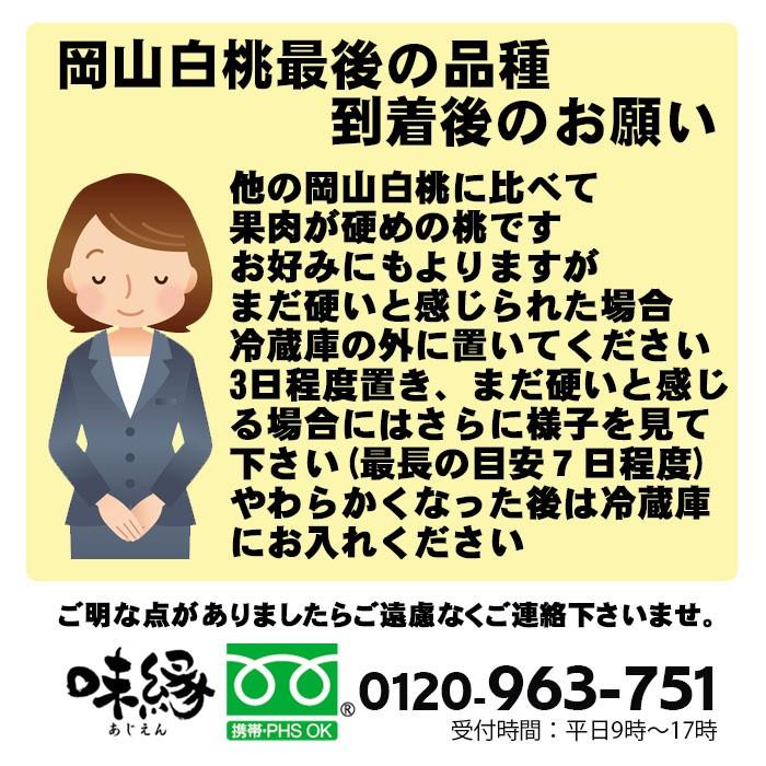 早期ご予約受付中 岡山白桃 最後の品種 自宅用 4kg箱 岡山県産白桃　生産者限定商品　訳あり品　8月下旬収穫品_3