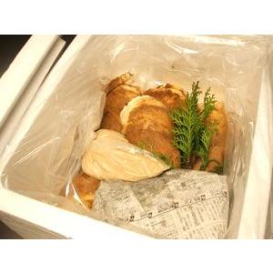 和歌山産 朝堀り筍（たけのこ）5kg ご予約送料無料 旬を味わう厳選品 
