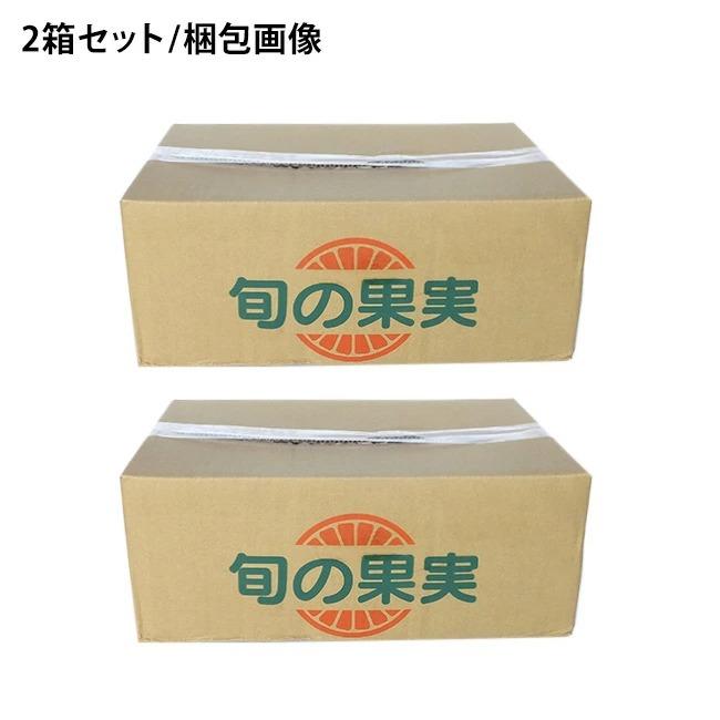 早期ご予約受付中 紀州南高梅 加工用 生梅 2L 5Kg×2箱 10Kg 和歌山