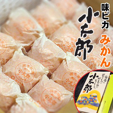 極上品質 愛媛産 味ピカ一【小太郎 越冬 みかん】30個入り 専用化粧箱 極上品質 愛媛産 味ピカ一【小太郎 越冬 みかん】30個入り 専用化粧箱