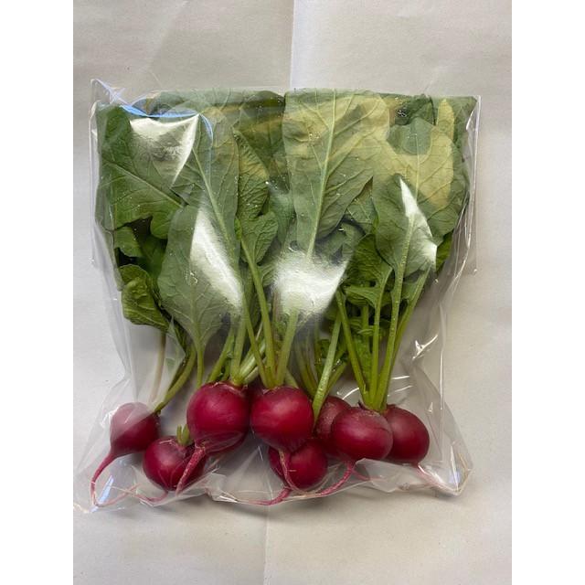 ラディッシュ 1p 二十日大根 はつか大根 Radish 1p 味咲 通販 Yahoo ショッピング