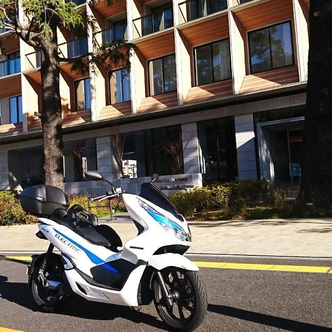 ホンダ 【取付対応可】 NOI WATDAN HONDA PCX ローダウン ダブル ホンダ 【取付対応可】 NOI WATDAN HONDA PCX ローダウン ダブル