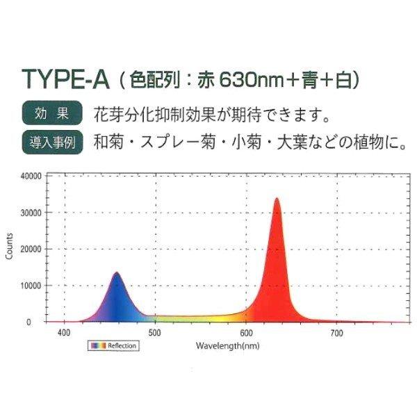 ハナオカ　補光用LEDライト　グロースライト　Aタイプ　菊用　5個セット