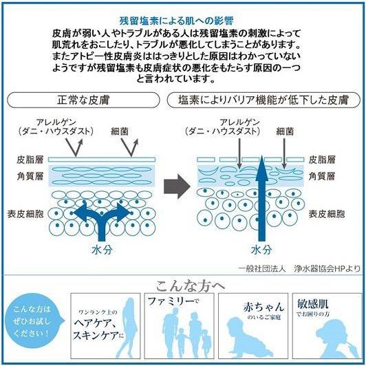 送料無料) (三菱ケミカル・クリンスイ) WATERCOUTURE ウォーター