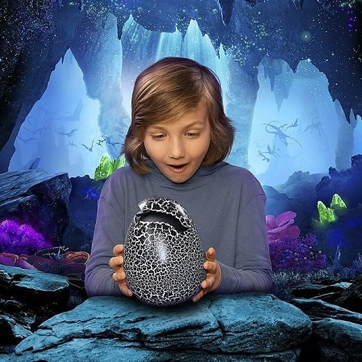 Dreamworks Dragons】ドリームワークス ヒックとドラゴン 卵から