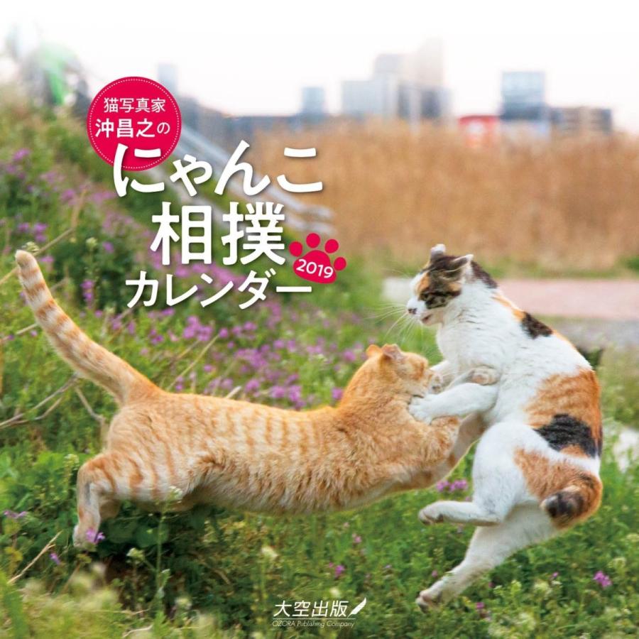 猫写真家 沖昌之のにゃんこ相撲カレンダー19 カレンダー Ajプラザ 通販 Yahoo ショッピング