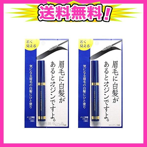 都内で メンズ眉墨 2個セット Ask Koumuin Com