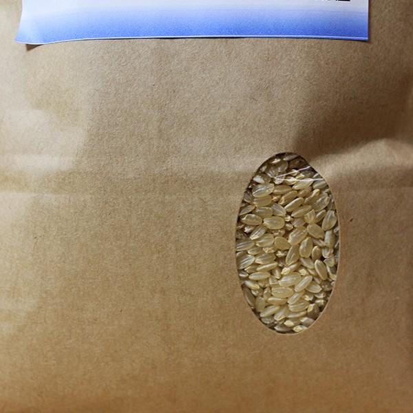 自然栽培のお米】玄米5kg「ササシグレ」(宮城県)ごえん家 長沼