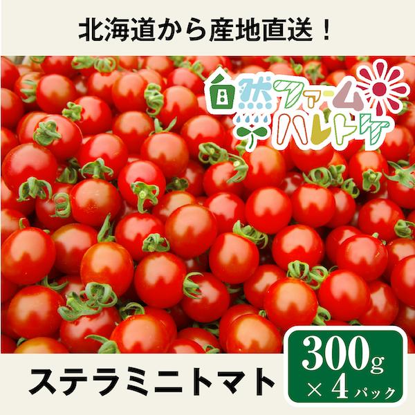 自然栽培のステラミニトマト　300g×4パック　（約1.2kg） 自然ファームハレトケ　ミニトマト　北海道産　固定種　種子消毒なし　自家採種
