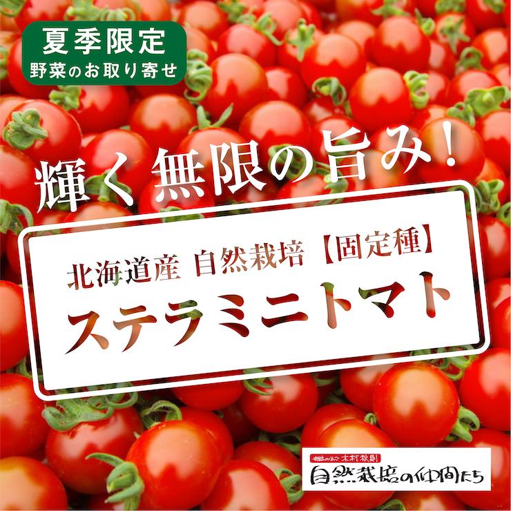自然栽培のステラミニトマト 300g×4パック （約1.2kg） 自然ファーム