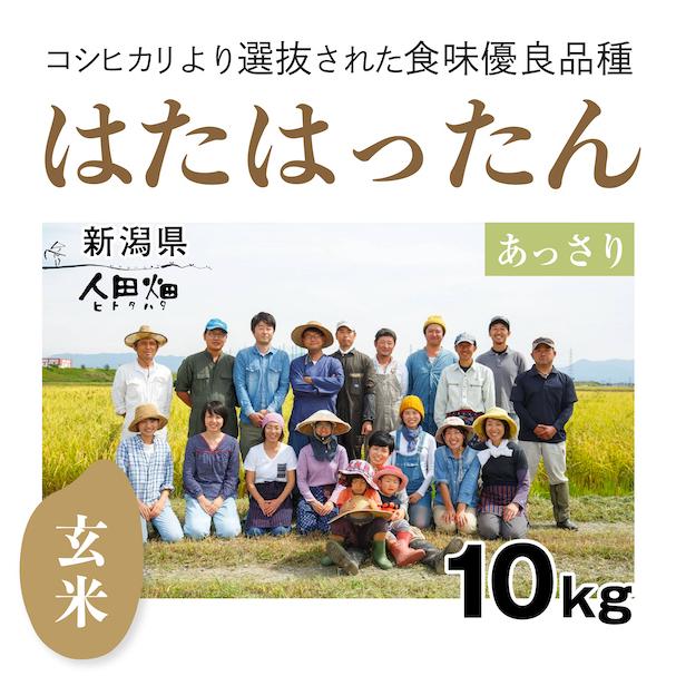 【自然栽培のお米/令和5年産】玄米10kg「はたはったん」(新潟県)人田畑(ひとたはた)　米　お米　無施肥　自然栽培　｜ak-friend