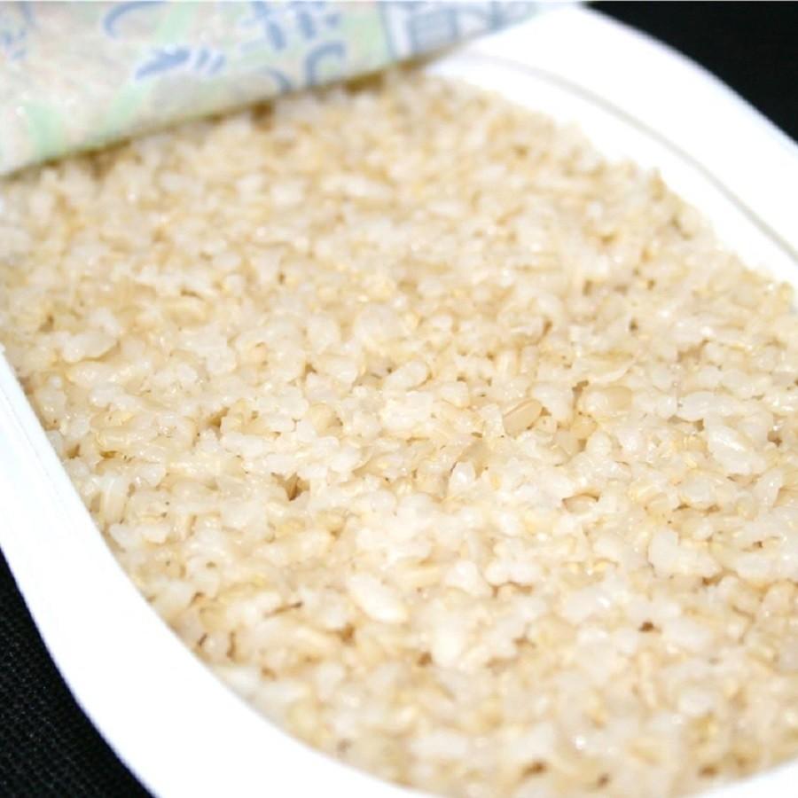 発芽玄米ごはん 180g 10個 レトルト 長期保存 特別価格 4000円以下 95 K08 木村秋則 自然栽培の仲間たち 通販 Yahoo ショッピング
