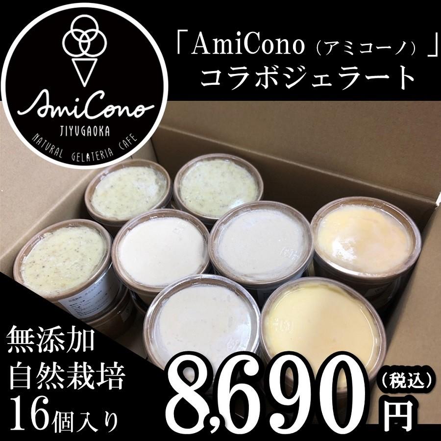 自然栽培ジェラート16個入り 自由が丘 Amicono コラボ商品 ギフト お歳暮 御歳暮 お年賀 内祝い Prettyfunnyballoons Com