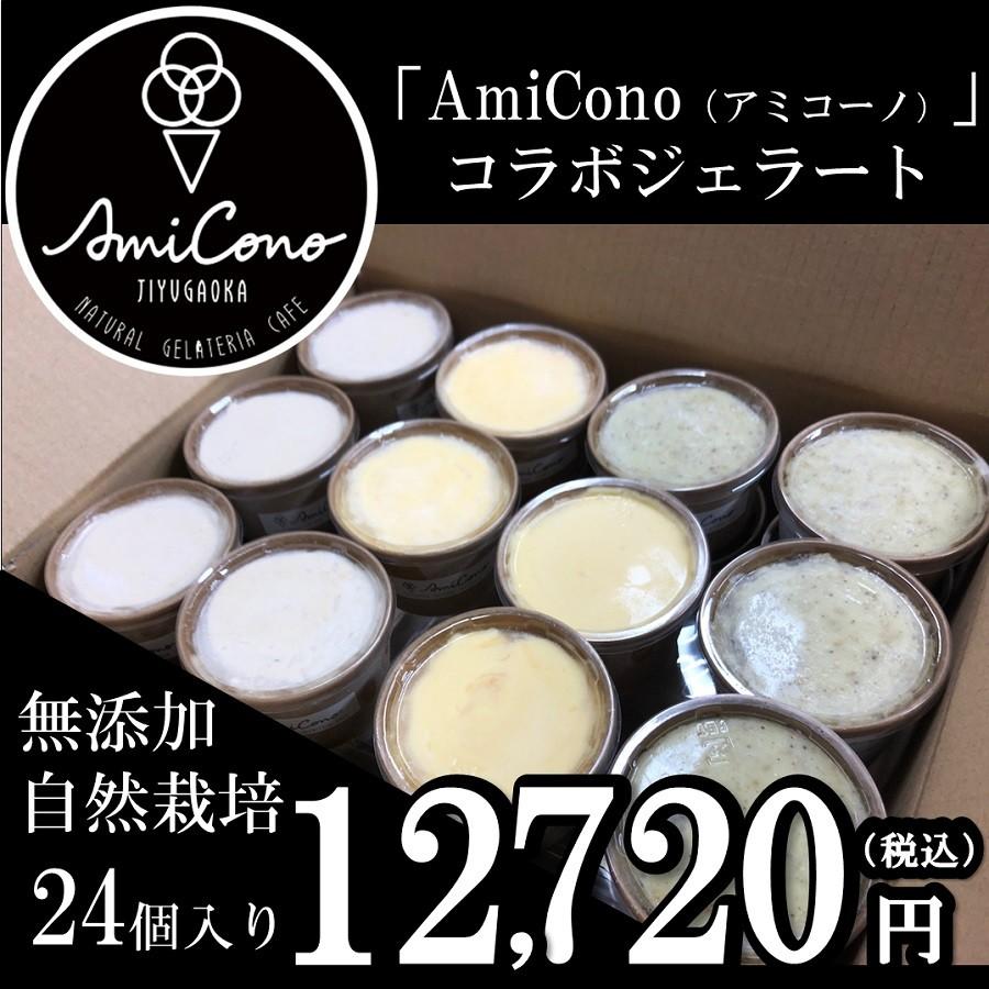 自然栽培おまかせジェラート24個入り 自由が丘 Amicono コラボ商品 ギフト お中元 御中元 内祝い ギフト Ami03 木村秋則 自然栽培の仲間たち 通販 Yahoo ショッピング
