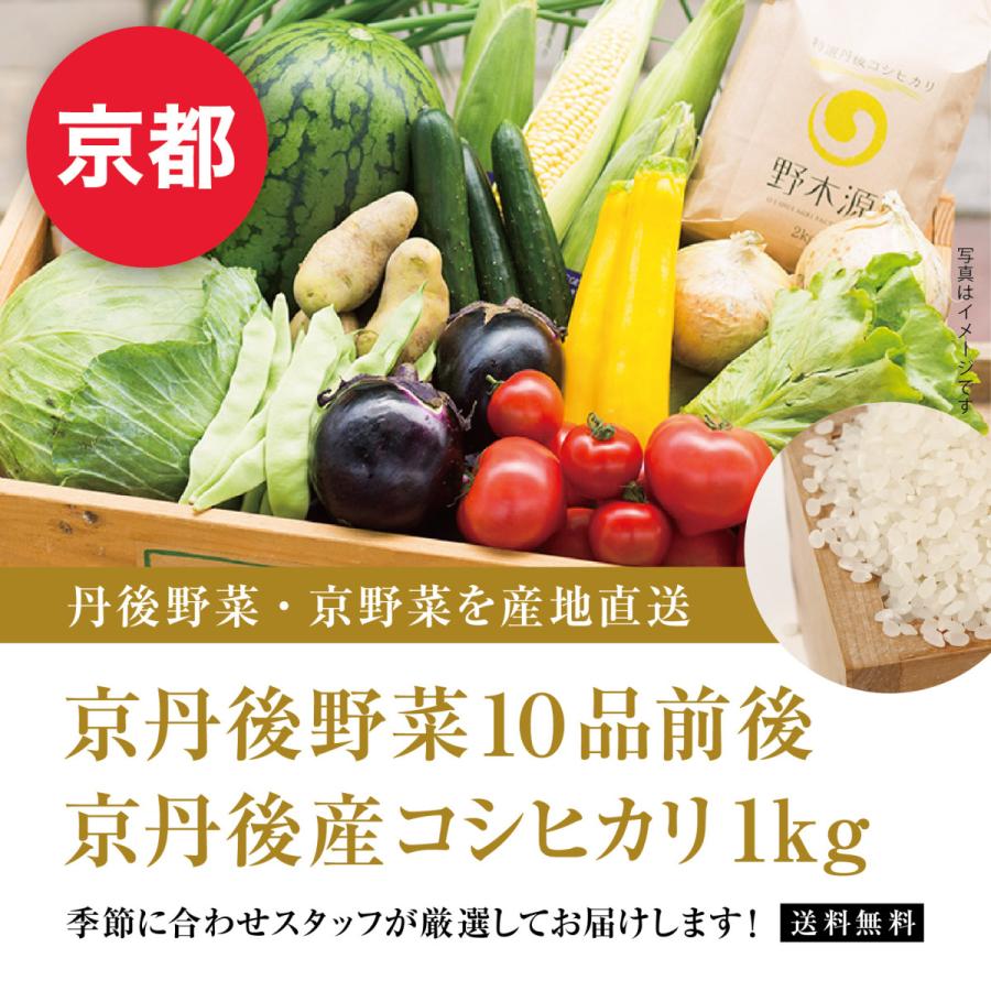 お歳暮 22 ギフト 京野菜 丹後 旬の野菜10種前後とお米1kgのセット 産直 産地直送 送料無料 Kyo Tan 03 北区赤羽商店 通販 Yahoo ショッピング