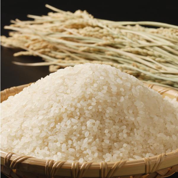 中野商店 令和7年度産 福島県会津産つきあかり 玄米 30kg 送料無料_1