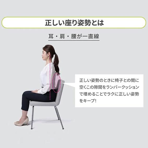 西川 Keeps(キープス)ランバークッション(腰のまくら)【HG93104652】の画像