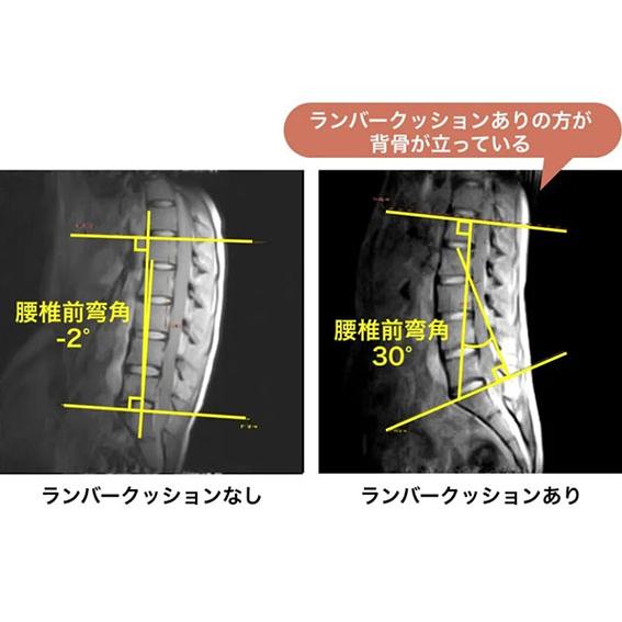 西川 Keeps(キープス)ランバークッション(腰のまくら)【HG93104652】の画像