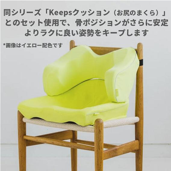 西川 Keeps(キープス)ランバークッション(腰のまくら)【HG93104652】の画像
