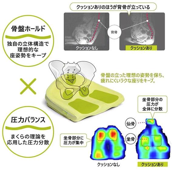 PROX（プロックス） 西川 Keeps(キープス)クッション for Kids