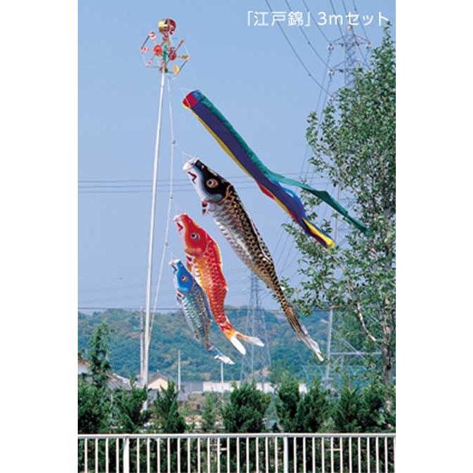 ワタナベ 江戸錦鯉 3mセット 緑鯉付き 吹き流し2本付き 鯉のぼり