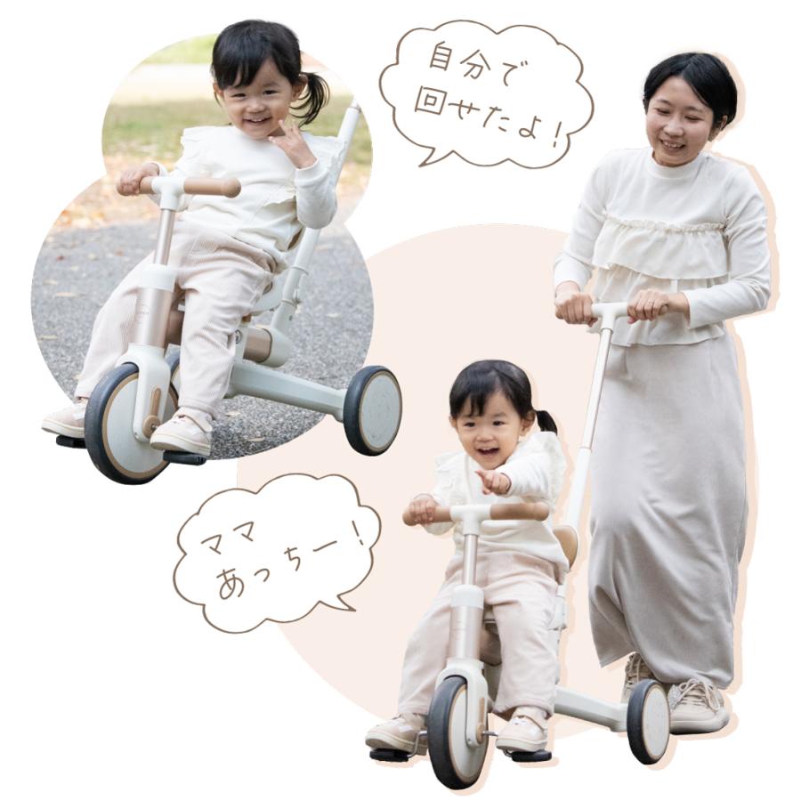 ちゃんのりさん専用 Amazon | KN企画 ライブディオZX LIVEDIOZX ユーロタイプチャンバー