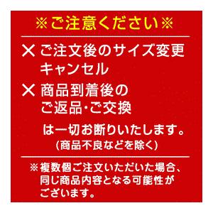 MIKI HOUSE（ミキハウス） 正規品 2026年 新春福袋 10万円 90cm