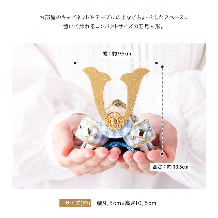 リュウコドウ 鯉のぼり 室内用 おしゃれ コンパクト こいのぼり 五月