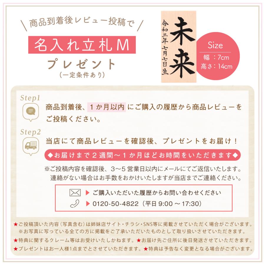 リュウコドウ 羽子板 お祝い ひな祭り 初節句 置物 雛人形 リュウコドウ 羽子板 お祝い ひな祭り 初節句 置物 雛人形