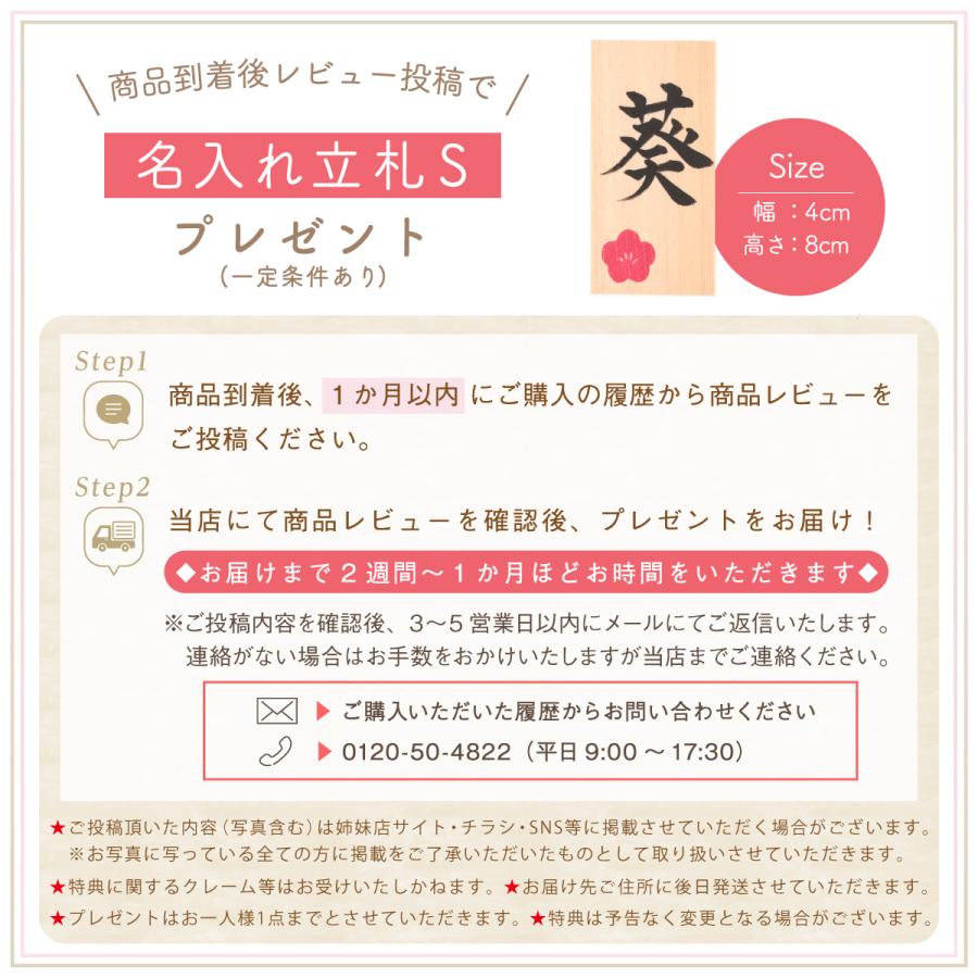 リュウコドウ 羽子板 お祝い ひな祭り 初節句 雛人形 ひな人形 リュウコドウ 羽子板 お祝い ひな祭り 初節句 雛人形 ひな人形