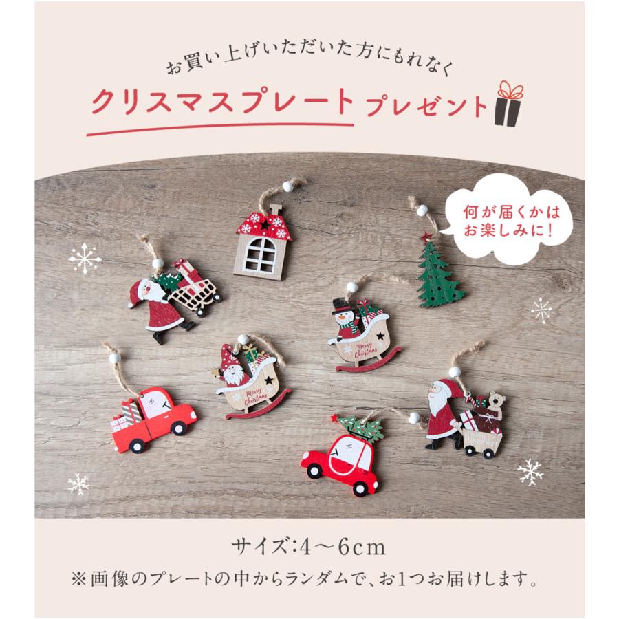 ＆Flower SALE 2024 クリスマス リース Mサイズ 24cm ナチュラル