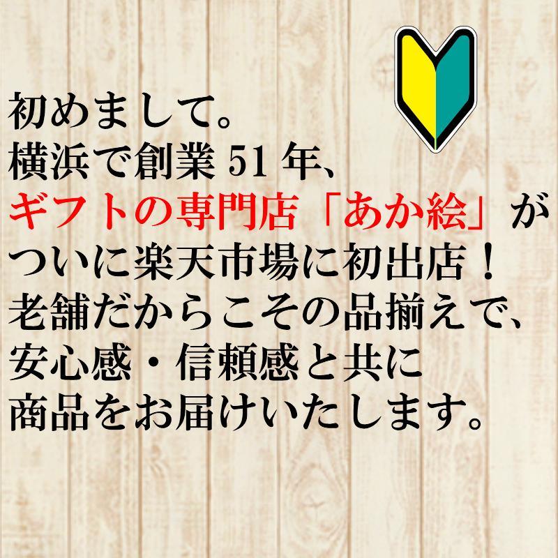 香典返し 法事 法要 2万円 カタログギフト 四十九日 お葬式の 香典返し 法事 法要 2万円 カタログギフト 四十九日 お葬式の