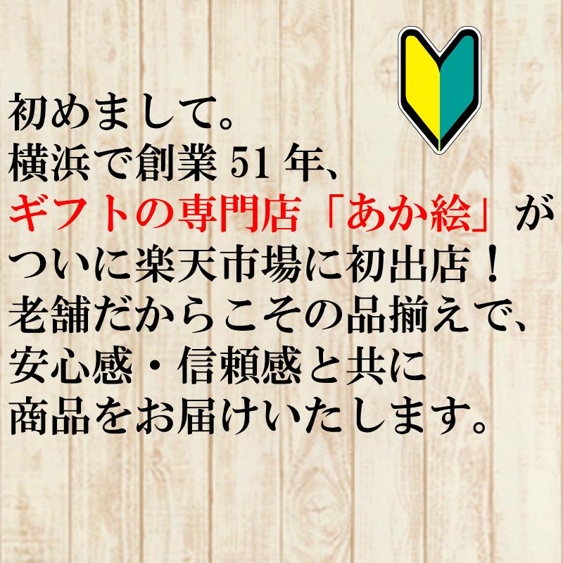 カタログギフト テイクユアチョイス ローズ ダブル 10000円 送料無料 ハーモニック 引出物 内祝 出産内祝 入学祝 進学祝 快気祝 御礼 御祝  1万円｜akae｜15