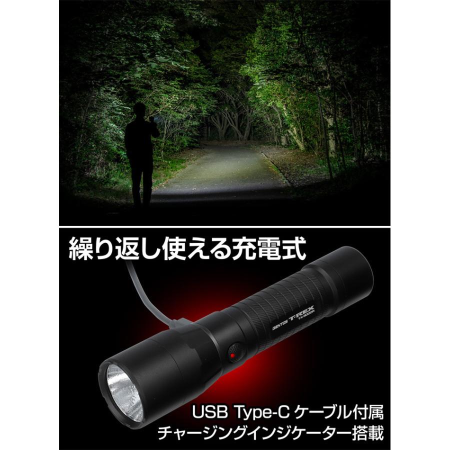 メナード　アルフェストハンディライト メナードエステ アルフェストハンディライト 希少 日焼け有り