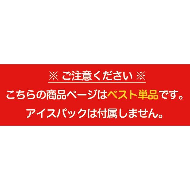 暑さ対策 熱中症対策グッズ クールベスト 冷却ベスト アイスV(アイスブイ) 本体のみ/保冷剤なし｜akagi-aaa｜03