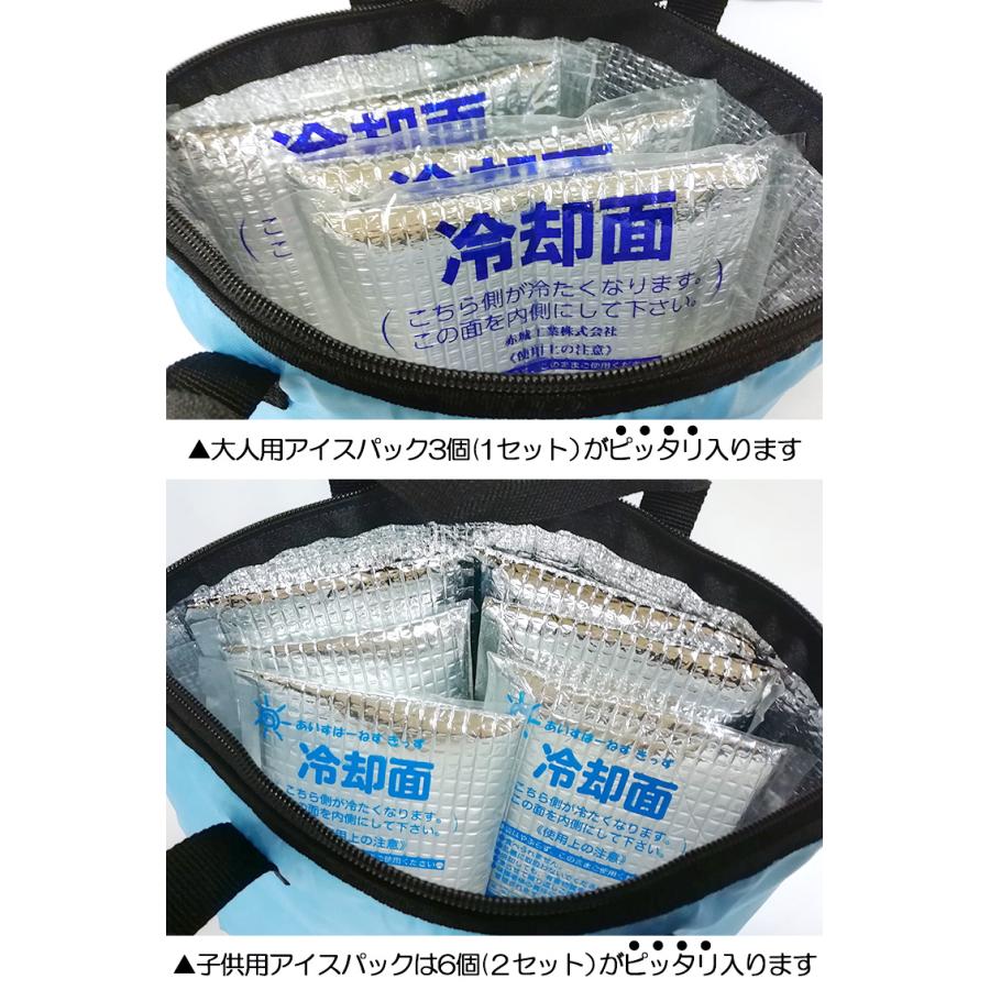 保冷バッグ ミニ ブルー 保冷剤 クーラーバッグ 底マチ付き : AK
